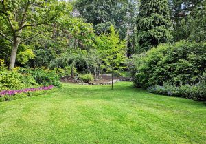 Optimiser l'expérience du jardin à Petit-Failly